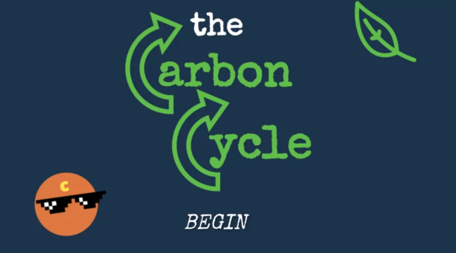 The Carbon Cycle