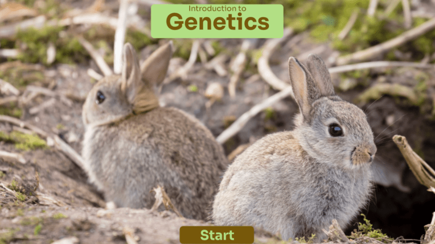 Introduction to Genetics