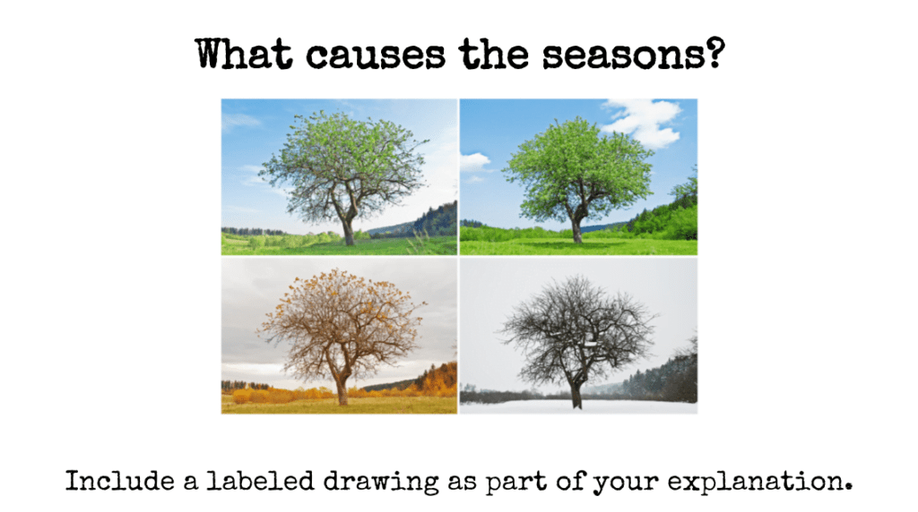 A tree during spring, summer, fall, and winter