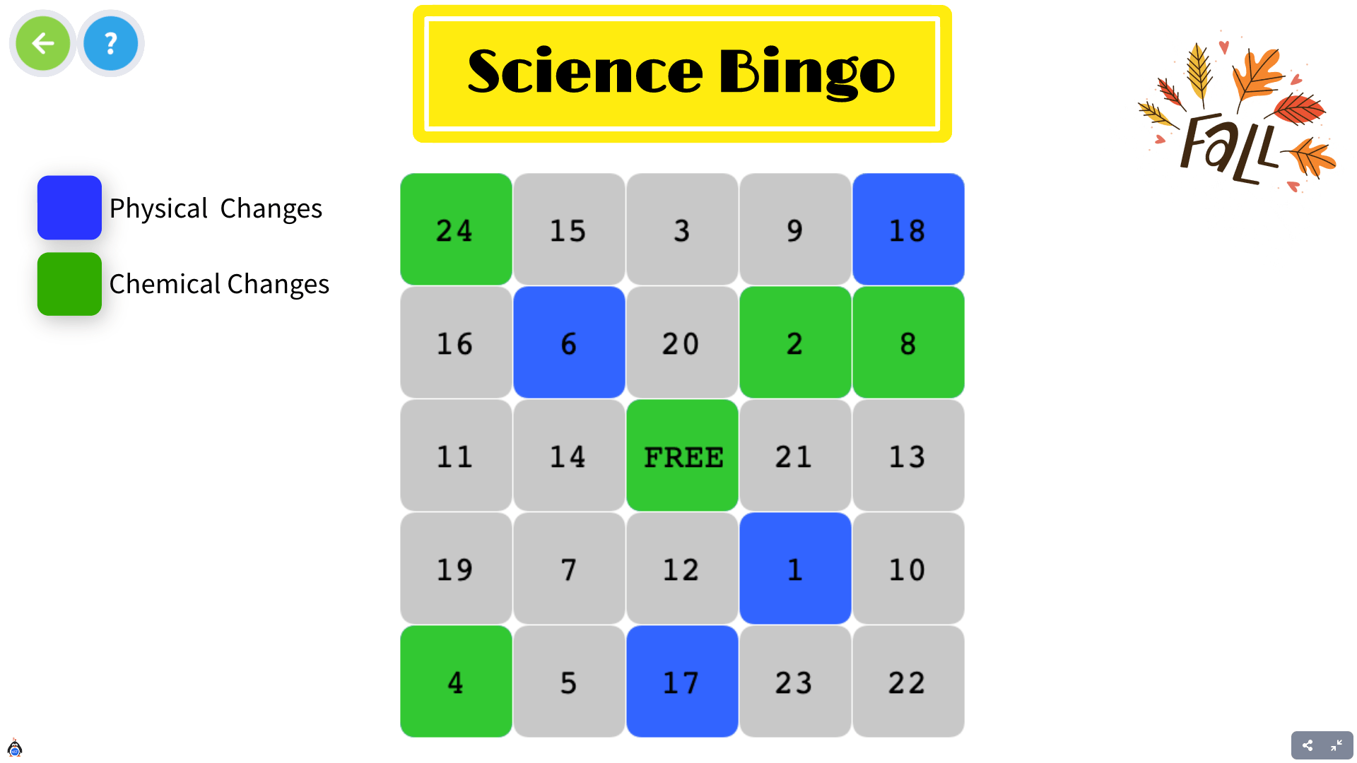 Bingo: Physical and Chemical Changes in Fall