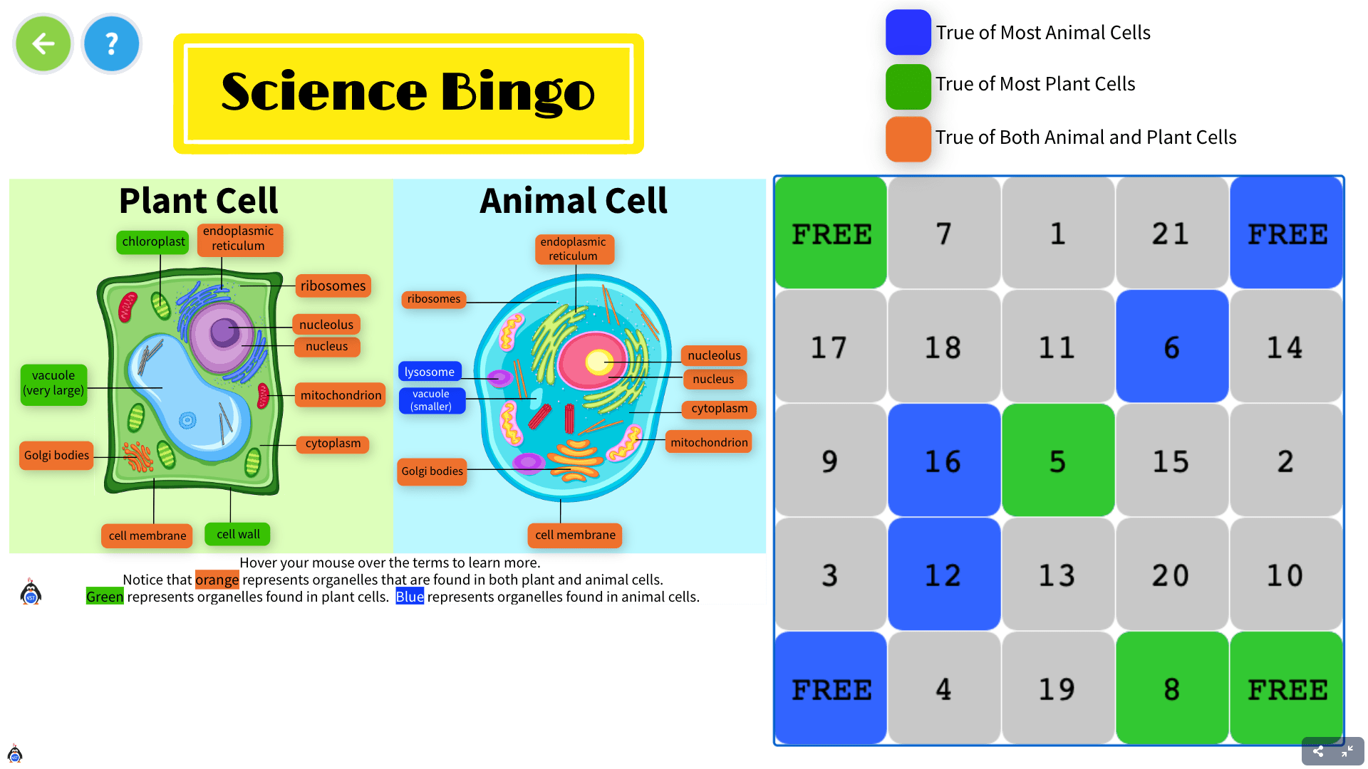 Bingo: Plant Cell, Animal Cell, or Both