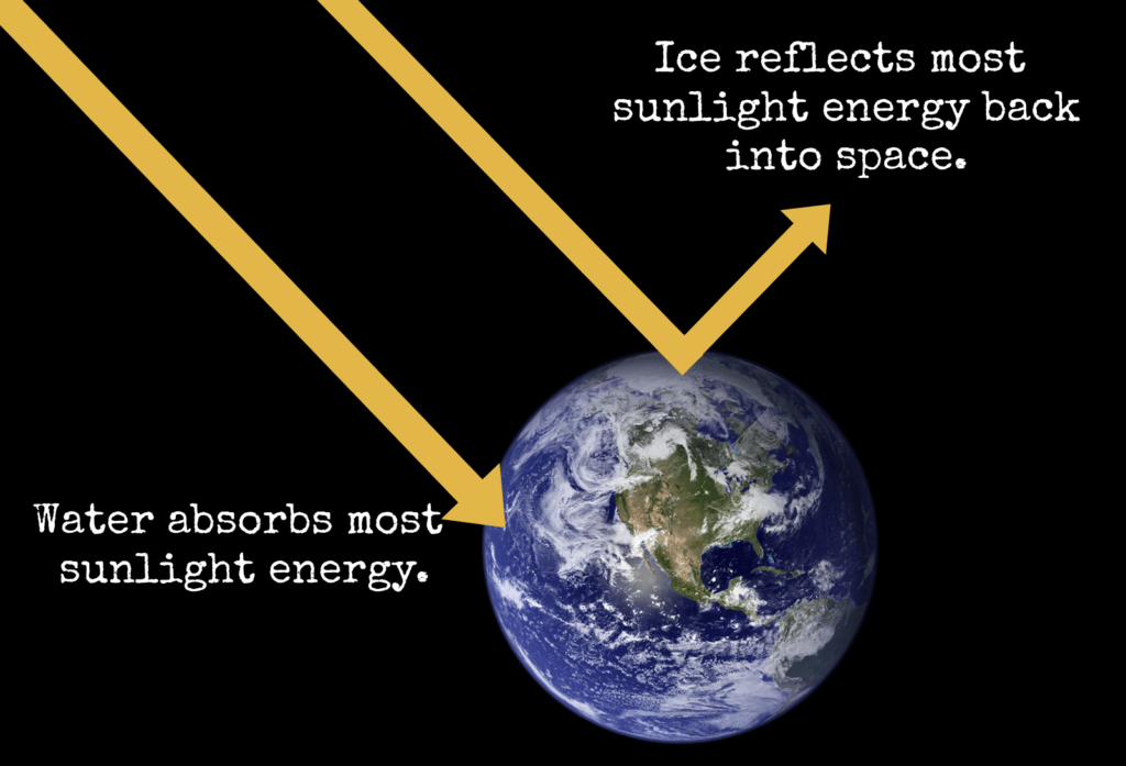 Ice reflects most sunlight energy. Water absorbs most sunlight energy.