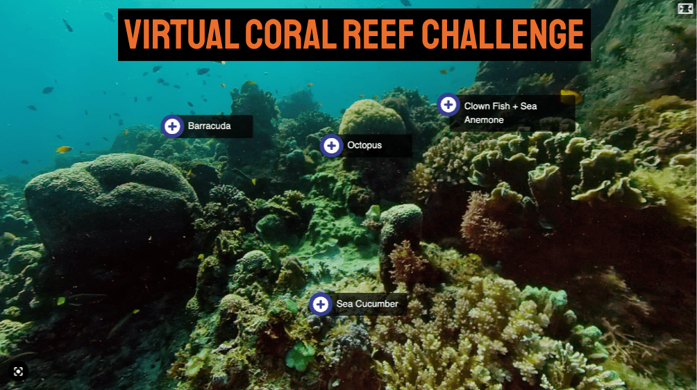 Virtual Coral Reef Challenge