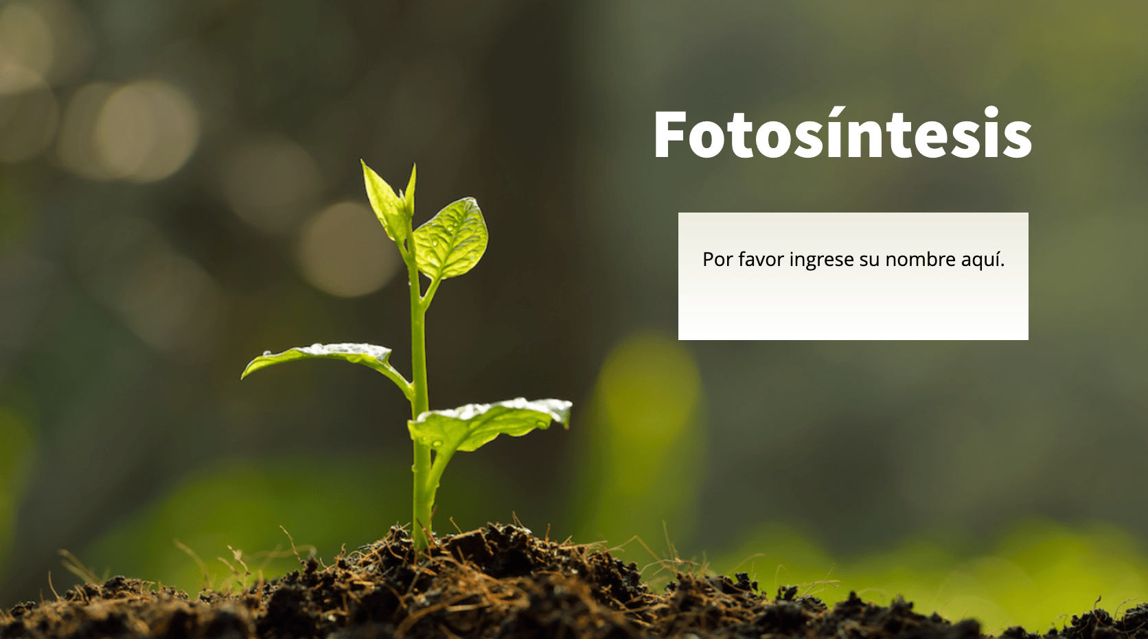 Fotositesis