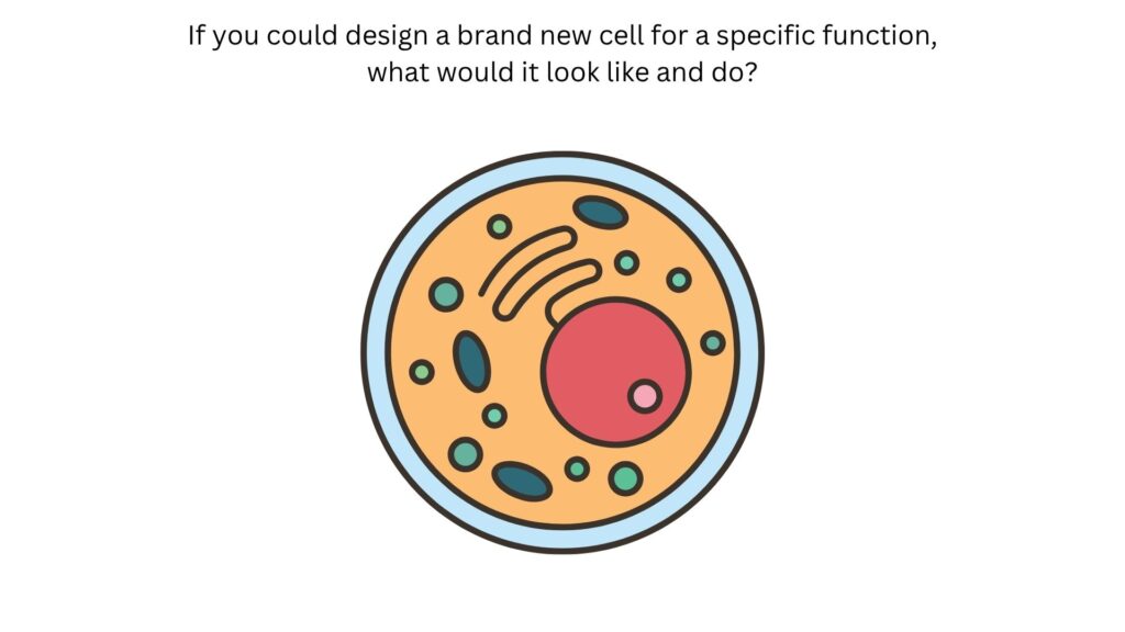 If you could design a brand new cell for a specific function, what would it look like and do?