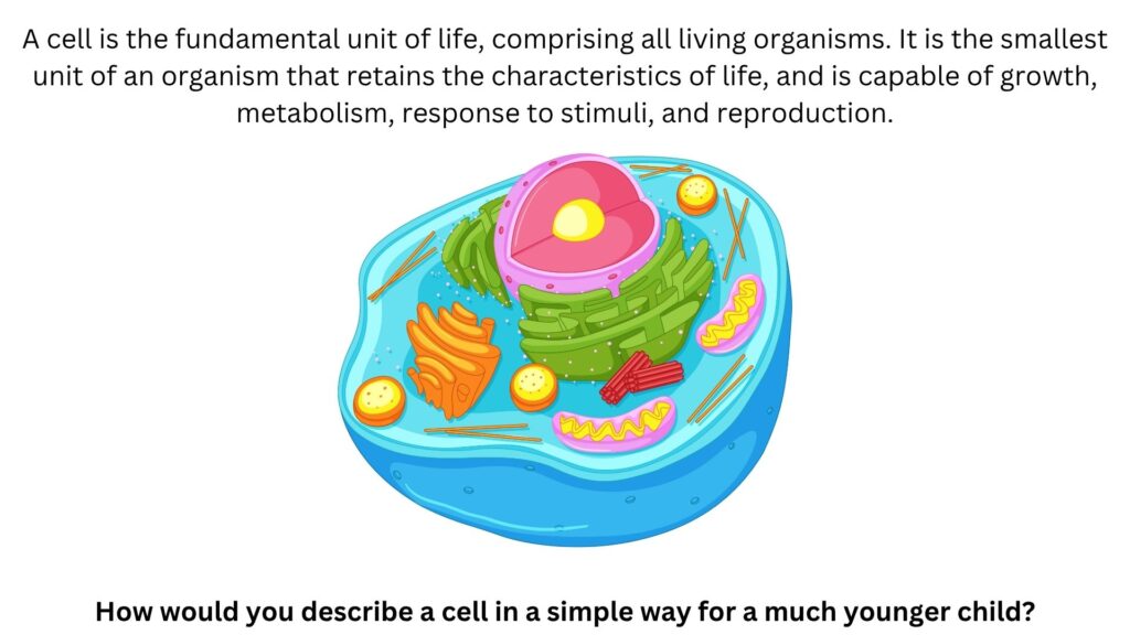 How would you describe a cell in a simple way for a much younger child?