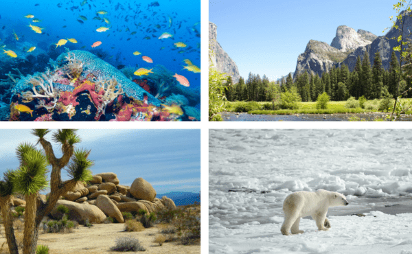 Ecosystems