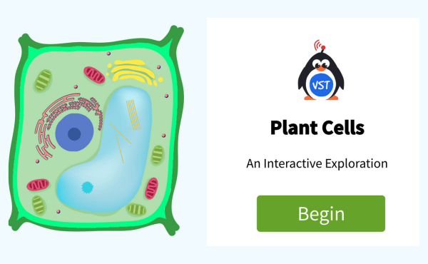 Plant Cells Interactive