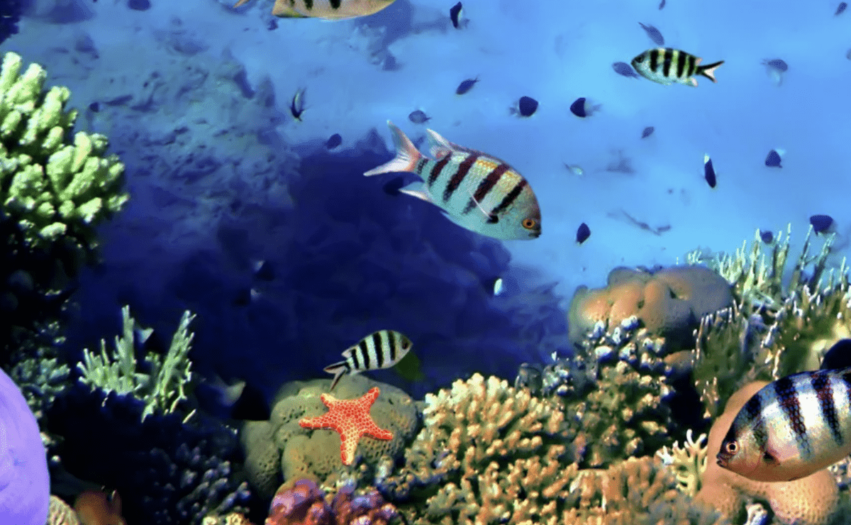 NGSS Aligned Resources for Middle School – Virtual Science Teachers