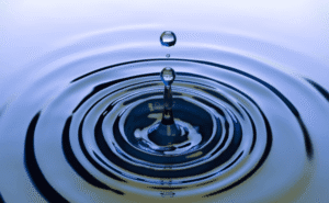 NGSS Aligned Resources for Middle School – Virtual Science Teachers