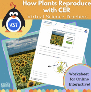 How Plants Reproduce Worksheet
