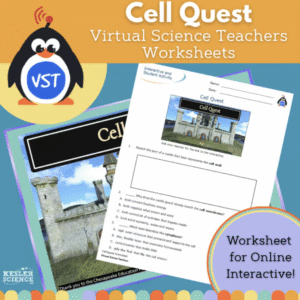 Cell Quest Worksheet