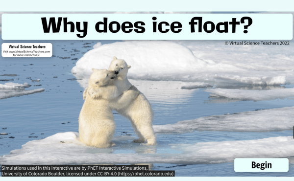 Why Does Ice Float