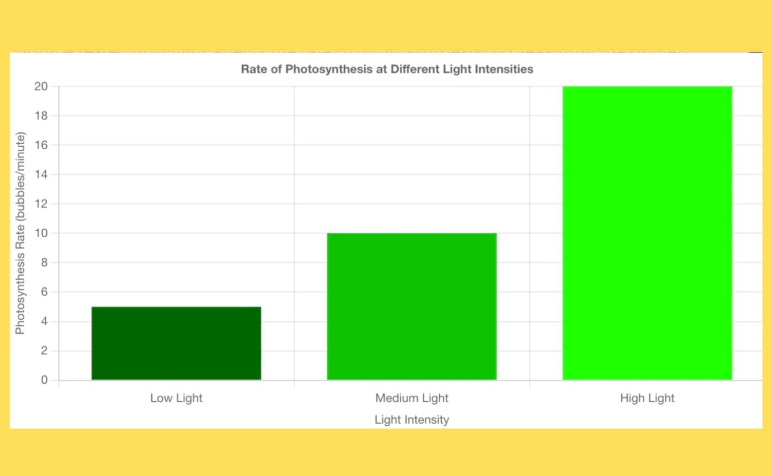 Science Graph Bell Ringer Bell Ringers – Virtual Science Teachers