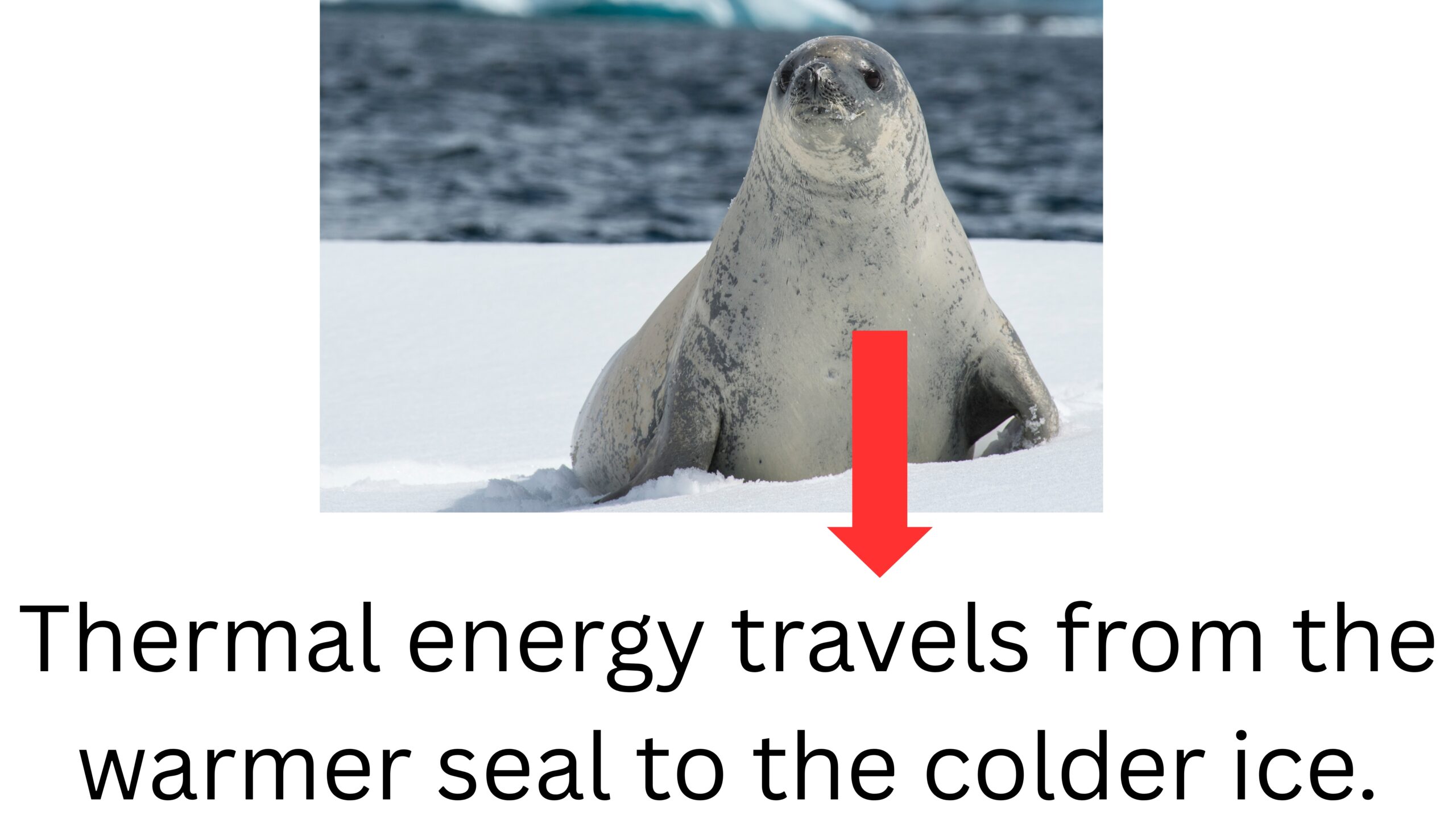 Thermal Energy and Heat Transfer Mini-Challenges