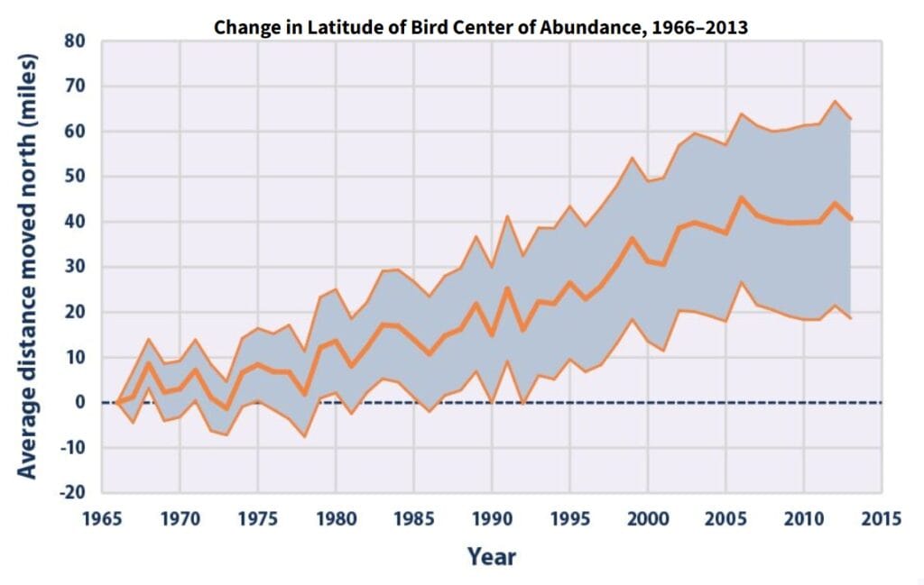 Line graph titled “Change in Latitude of Bird Center of Abundance, 1966–2013.” The x-axis shows years from 1966 to 2013. The y-axis shows the average distance birds have moved north, measured in miles. The graph shows an overall upward trend, meaning birds have gradually shifted farther north over time. Early years are near zero miles, while later years reach about 60 miles north on average. A shaded band around the line shows variation among species, but the overall pattern shows increasing northward movement.