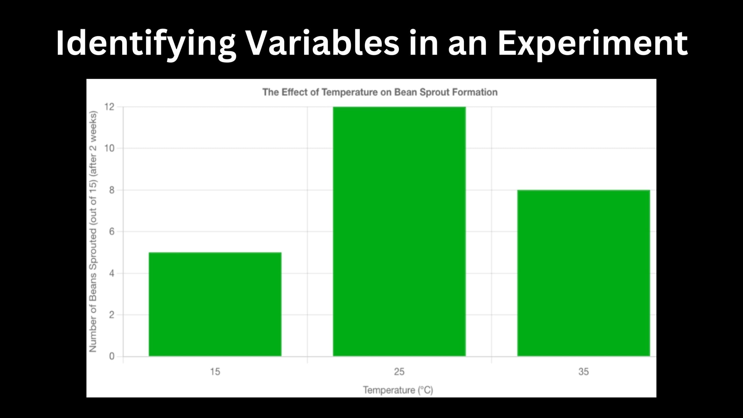 Variables in a Bean Sprout Experiment