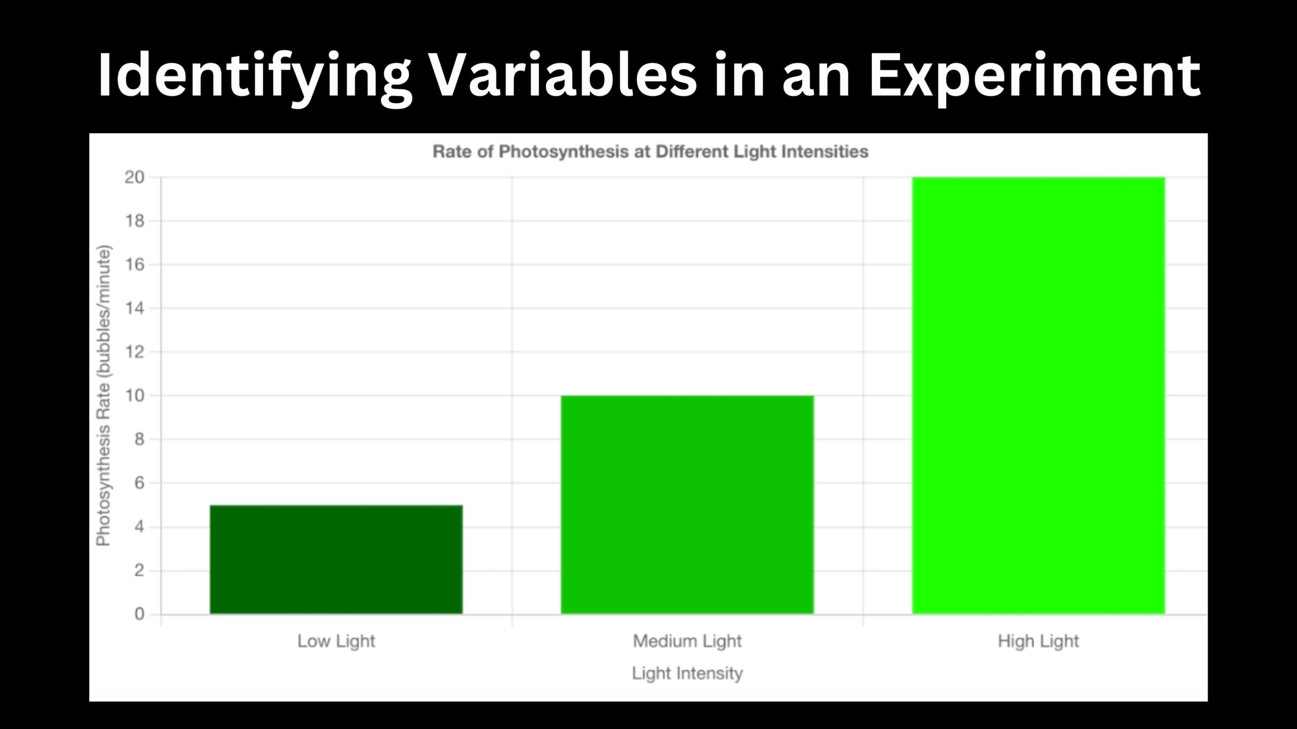 Variables in a Photosynthesis Experiment
