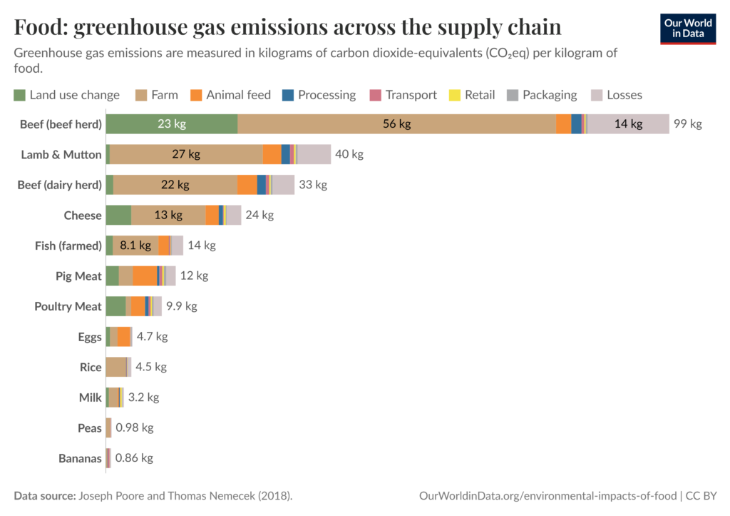 Horizontal bar graph titled “Food: greenhouse gas emissions across the supply chain.” The graph shows greenhouse gas emissions measured in kilograms of CO₂-equivalents per kilogram of food for different food products. Each bar is divided into colored sections representing stages of the food supply chain: land use change, farming, animal feed, processing, transport, retail, packaging, and losses. Beef from beef herds has the highest total emissions at about 99 kg CO₂e per kilogram, followed by lamb and mutton at about 40 kg, and beef from dairy herds at about 33 kg. Cheese is about 24 kg, farmed fish about 14 kg, pig meat about 12 kg, and poultry meat about 9.9 kg. Plant-based foods have much lower emissions, including eggs at about 4.7 kg, rice at 4.5 kg, milk at 3.2 kg, peas at 0.98 kg, and bananas at 0.86 kg. For most foods, farming and land use change contribute the largest share of emissions, while transport and packaging contribute much smaller amounts.