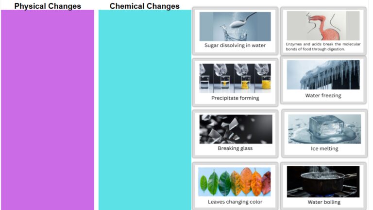Chemical vs Physical Changes Sort