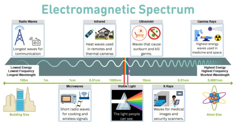 EM Waves Description