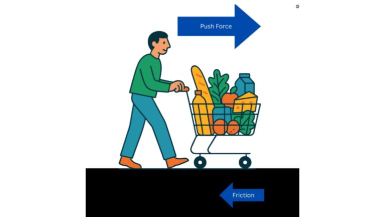 Scaffolded Fnet Set 1