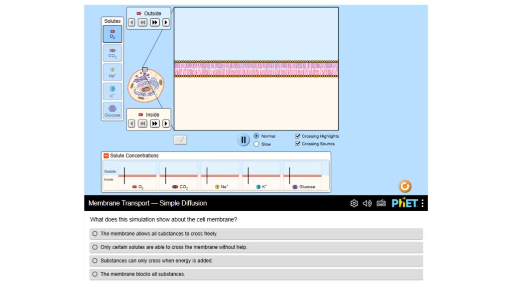 Diffusion Sim and 5 Questions