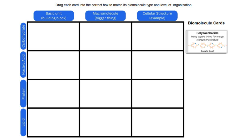 From Building Block to Cell Structure