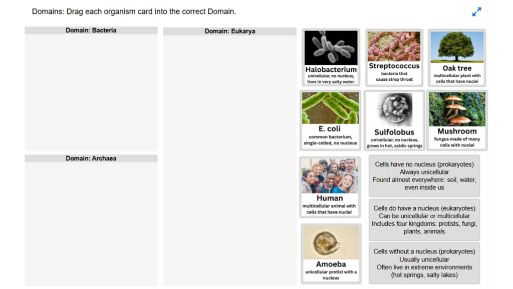 Organize into the 3 Domains