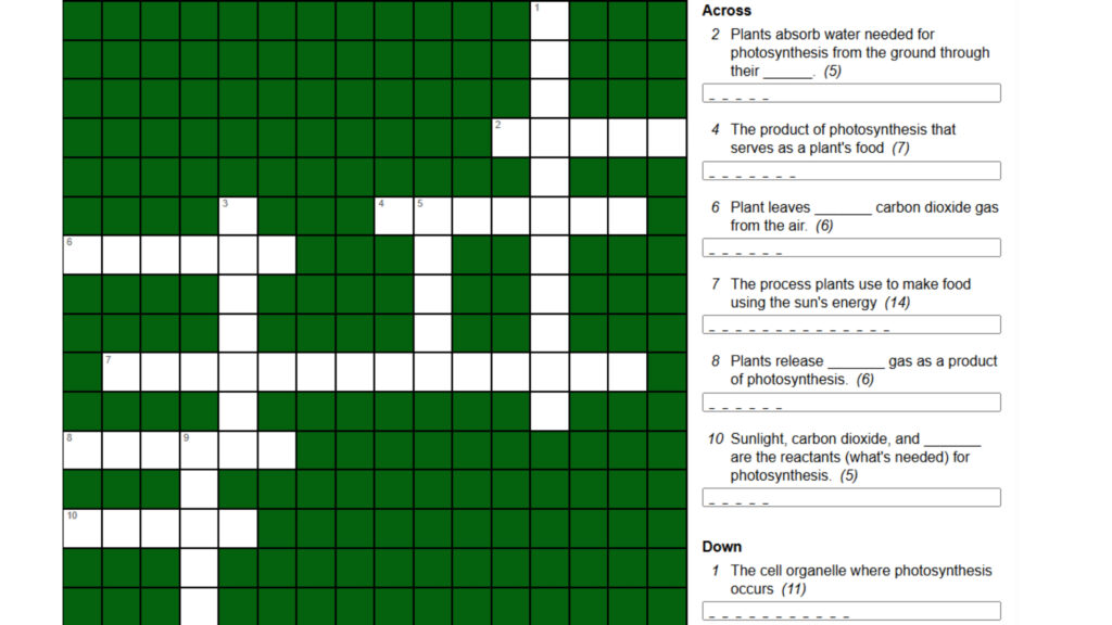 Photosynthesis Crossword Puzzle