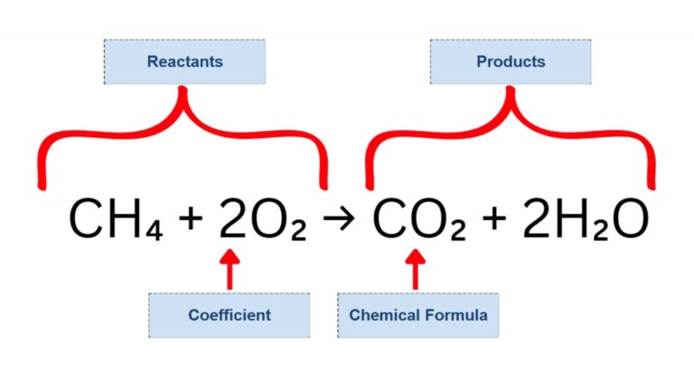Parts of a Chemical Reaction