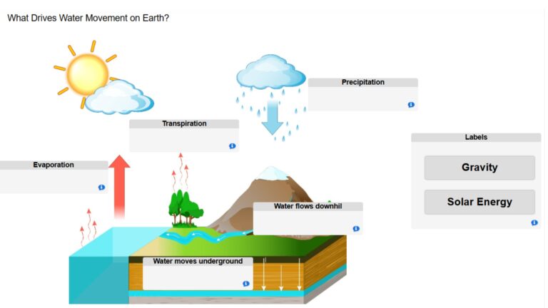 What Drives Water Movement on Earth