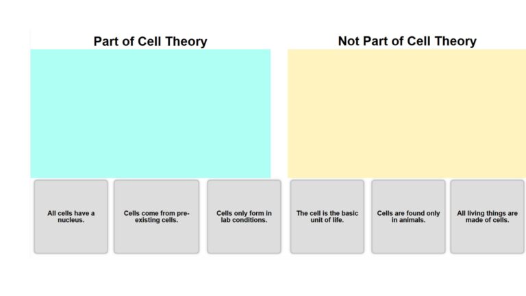 Cell Theory