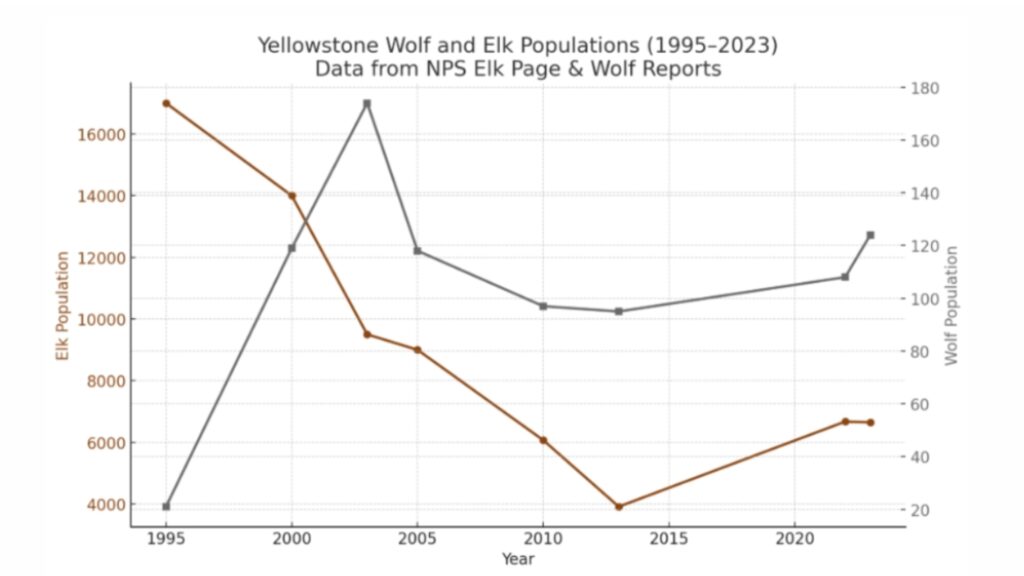 Wolf and Elk Populations
