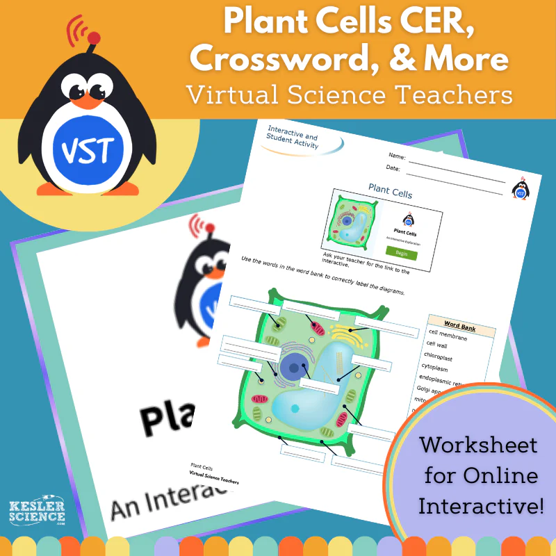 Plant Cells Kesler Science Worksheet