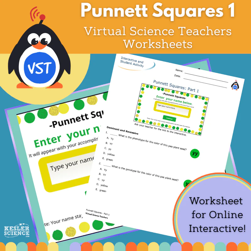 Punnett Squares Part 1 Kesler Science Worksheet