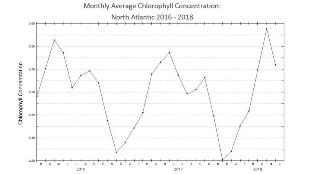 Chlorophyll Concentration