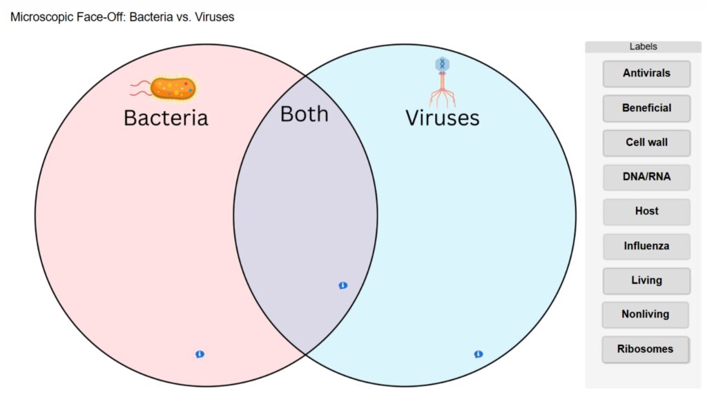 Bacteria Virus Venn Diagram