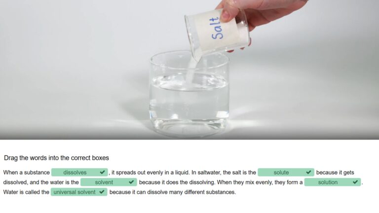 Dissolving Salt in Water Cloze