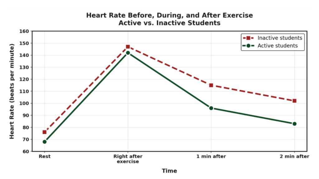 Heart Rate Graph