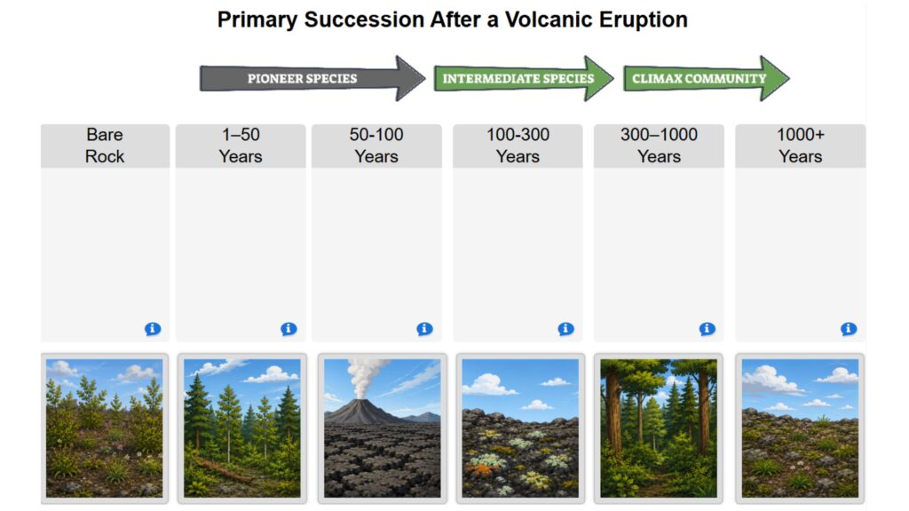 Primary Succession