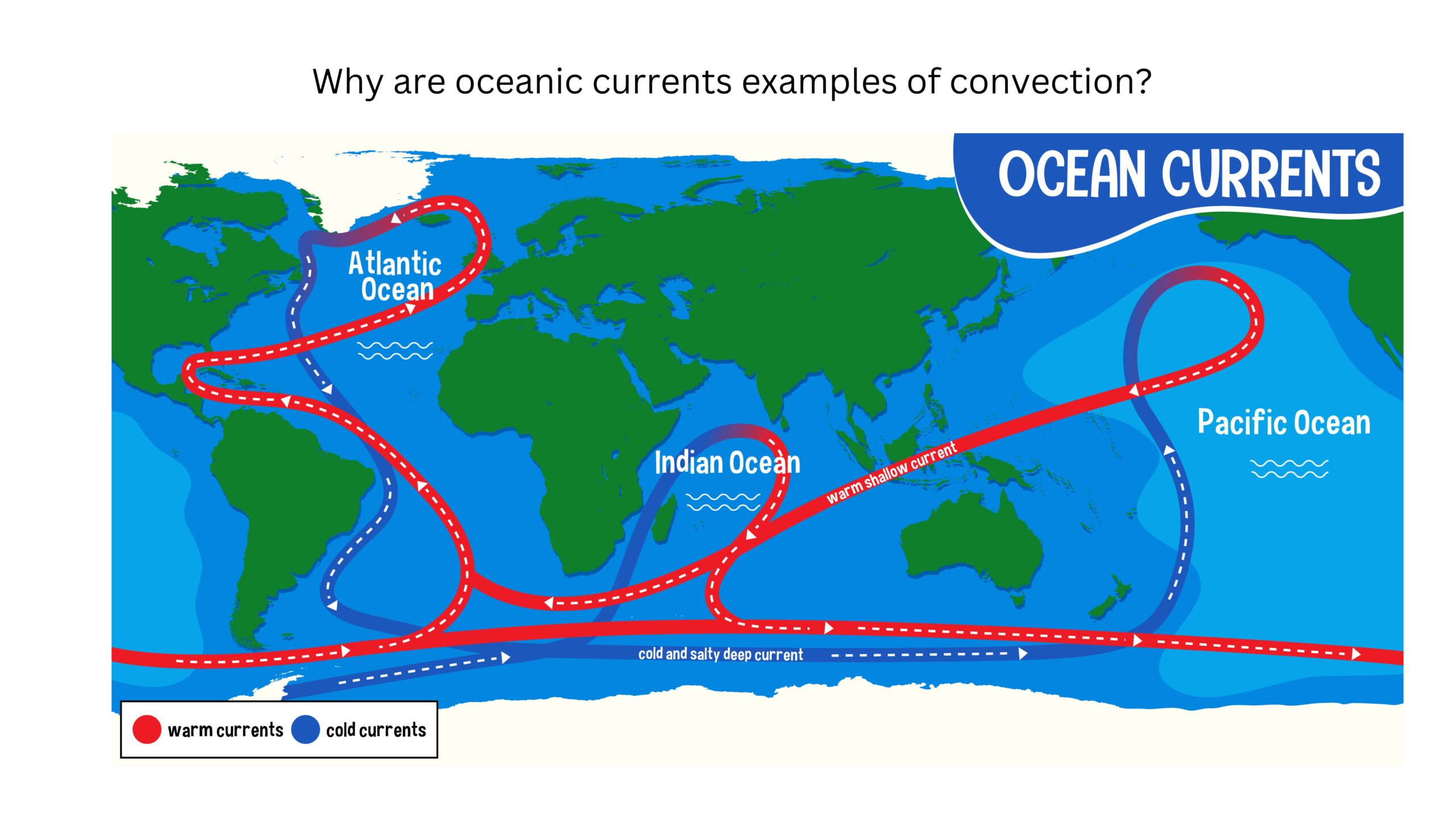 Why are ocean currents examples of convection? A world map shows red warm-water currents and blue cold-water currents circulating through the Atlantic, Pacific, and Indian oceans.