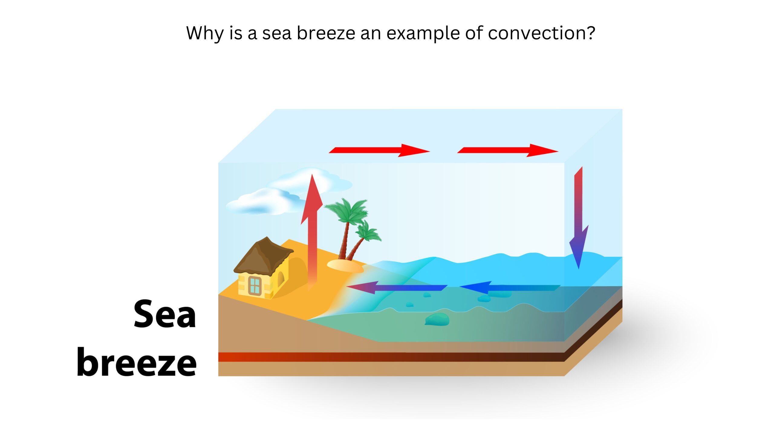 Why is a sea breeze an example of convection? A diagram shows warm air rising over sun-heated land, moving toward the water at higher altitude, sinking over the cooler water, and returning toward land near the surface.