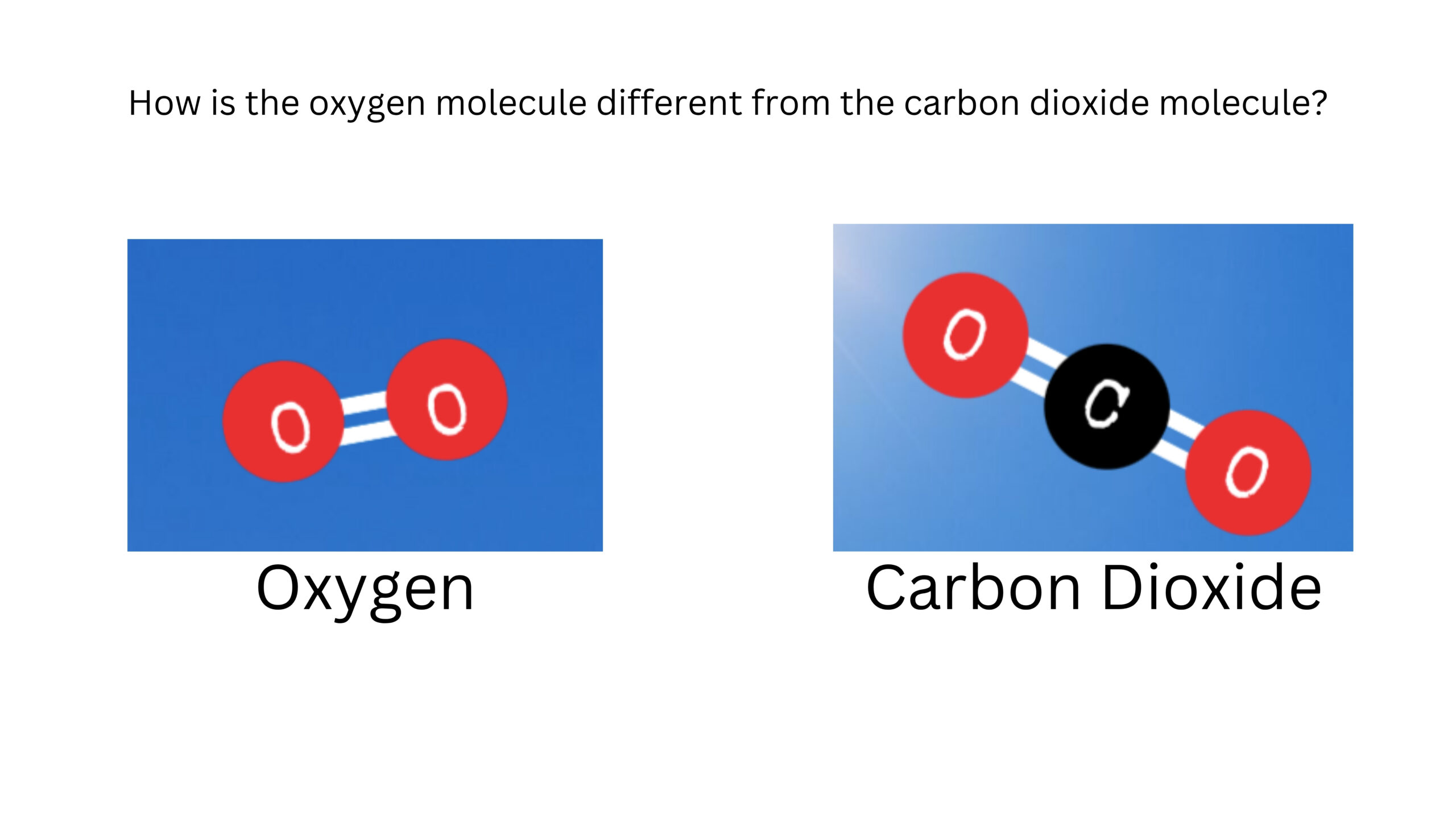 How is an oxygen molecule different from a carbon dioxide molecule? The oxygen model contains two oxygen atoms. The carbon dioxide model contains one carbon atom between two oxygen atoms.