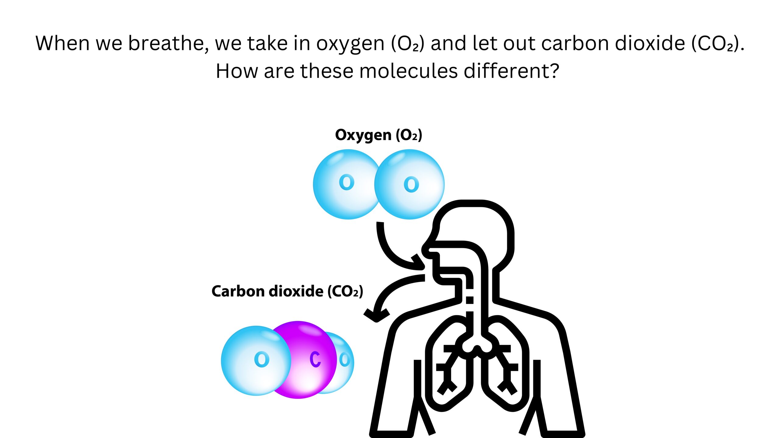 When we breathe, we take in oxygen and let out carbon dioxide. How are these molecules different? Models show oxygen as two oxygen atoms and carbon dioxide as one carbon atom bonded to two oxygen atoms.