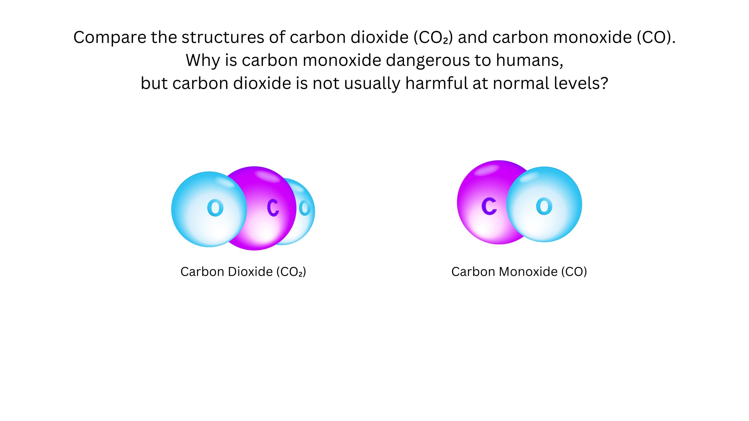 Compare the structures of carbon dioxide and carbon monoxide. Why is carbon monoxide dangerous to humans while carbon dioxide is not usually harmful at normal levels? Carbon dioxide contains one carbon atom and two oxygen atoms. Carbon monoxide contains one carbon atom and one oxygen atom.