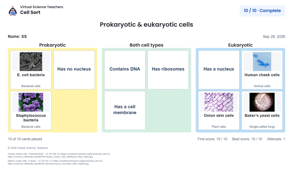 Prokaryotic vs Eukaryotic Cells