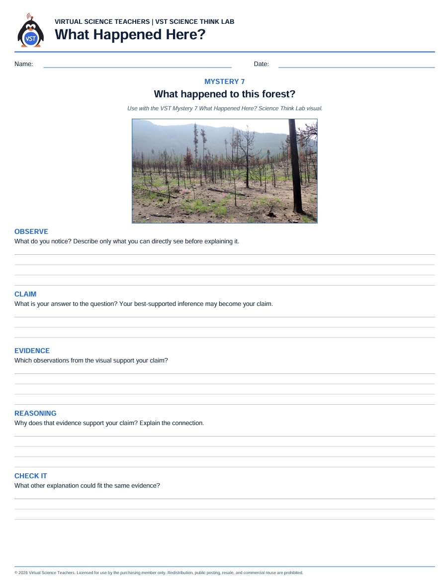 Preview of a What Happened Here Science Think Lab about explaining changes in a forest from visual evidence
