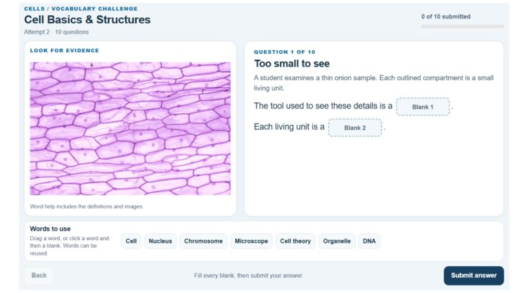 Cell Basics and Structures