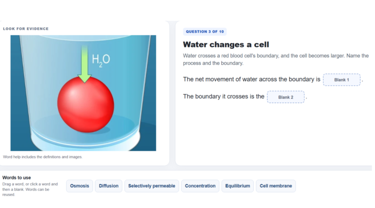 Cell Transport Vocab